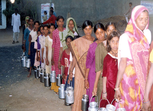 Involvement of Women Members in co-operative, Dairy Business at Rural Level 