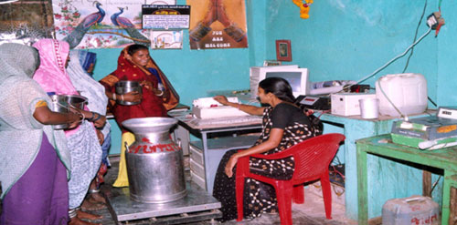 A tribal woman milk co-operative society operative automatic computerized milk weighing and fat testing system