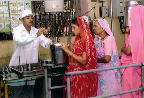 Involvement of Women Members in co-operative, Dairy Business at Rural Level 
